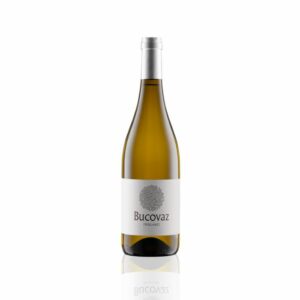Friulano DOC Friuli 2023