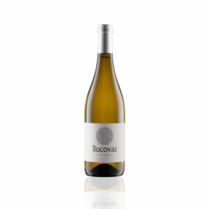 Malvasia IGP Trevenezie 2023