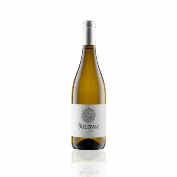 Malvasia IGP Trevenezie 2023