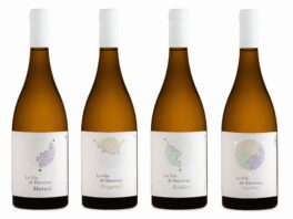 le-vie-di-bucovaz_line-up