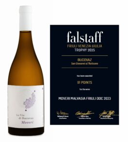moveri-2023-falstaff-91pkt