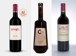 tournefeuille_line-up